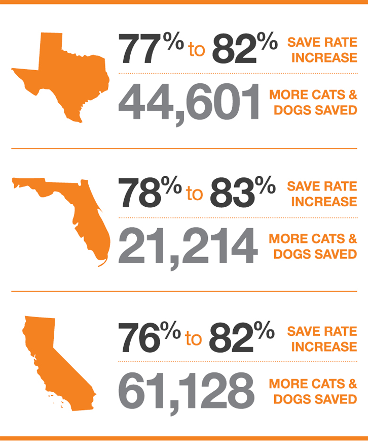 Graphic showing that Texas, California and Florida are the three states that have the highest lifesaving needs