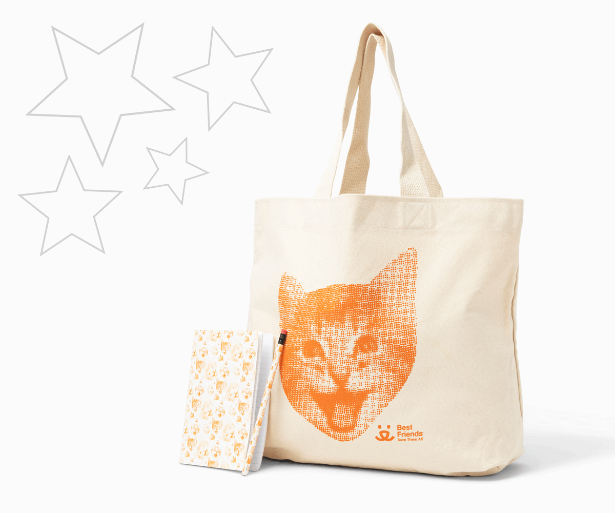 Happiness march collection includes a cute tote bag and notebook set