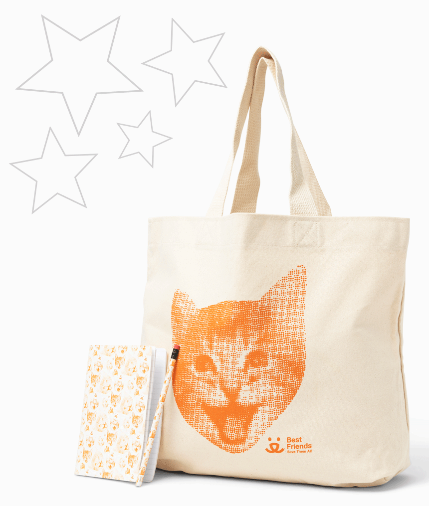 Happiness march collection includes a cute tote bag and notebook set