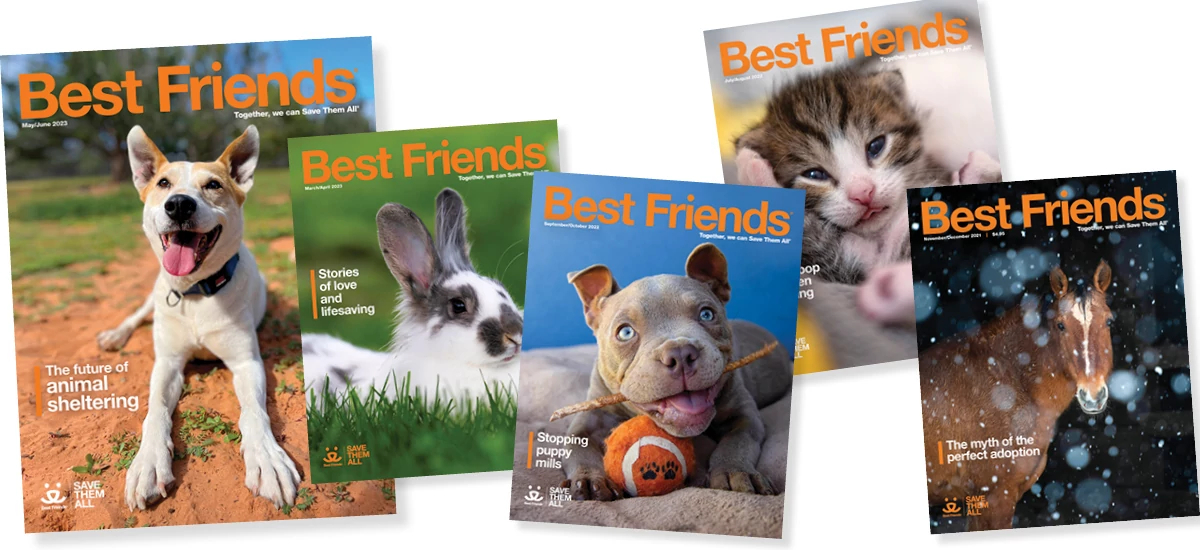 Best Friends magazine covers