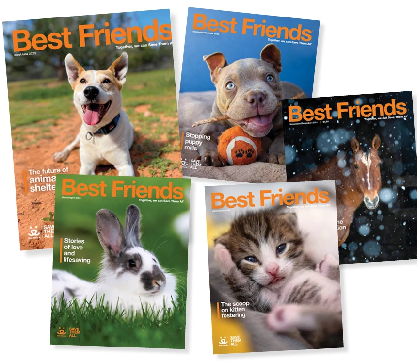 Best Friends magazine covers