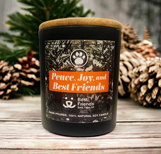 Peace, Joy, and Best Friends Candle