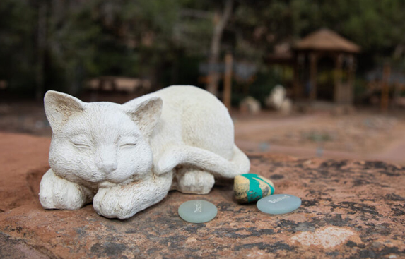 Cat memorial and stones