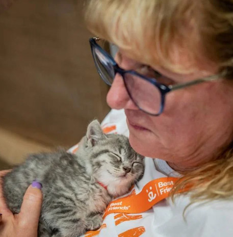 Volunteer snuggling kitten