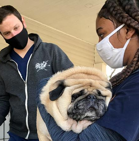 Network Partner brings mobile vet services to homebound residents of Atlanta, GA