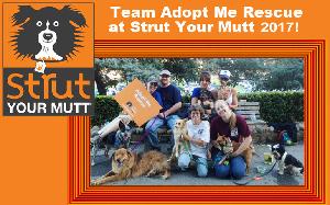 Strut Your Mutt