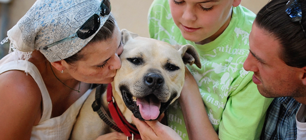 Disaster Preparedness for Pets