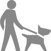person walking dog icon