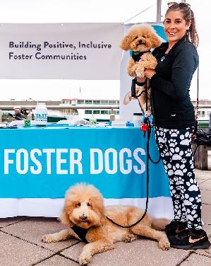 Paige, Charlie, and Sawyer at Strut Your Mutt 2018