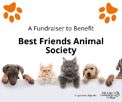 Have some Easter-themed fun and help us support animals!